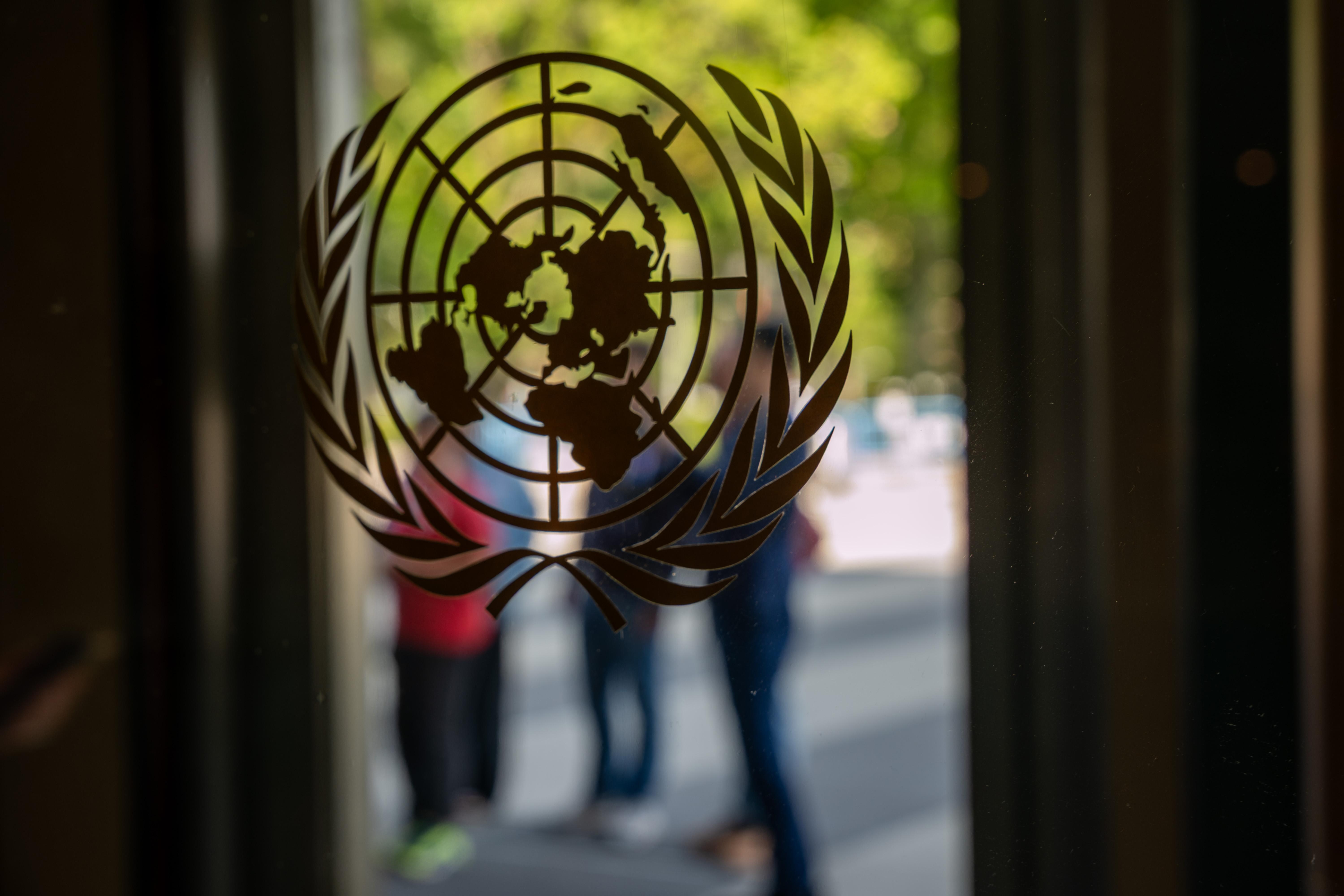 In its first thematic brief, the UN's Independent International Scientific Panel on AI urges governments to rein in AI agents before risks are fully understood