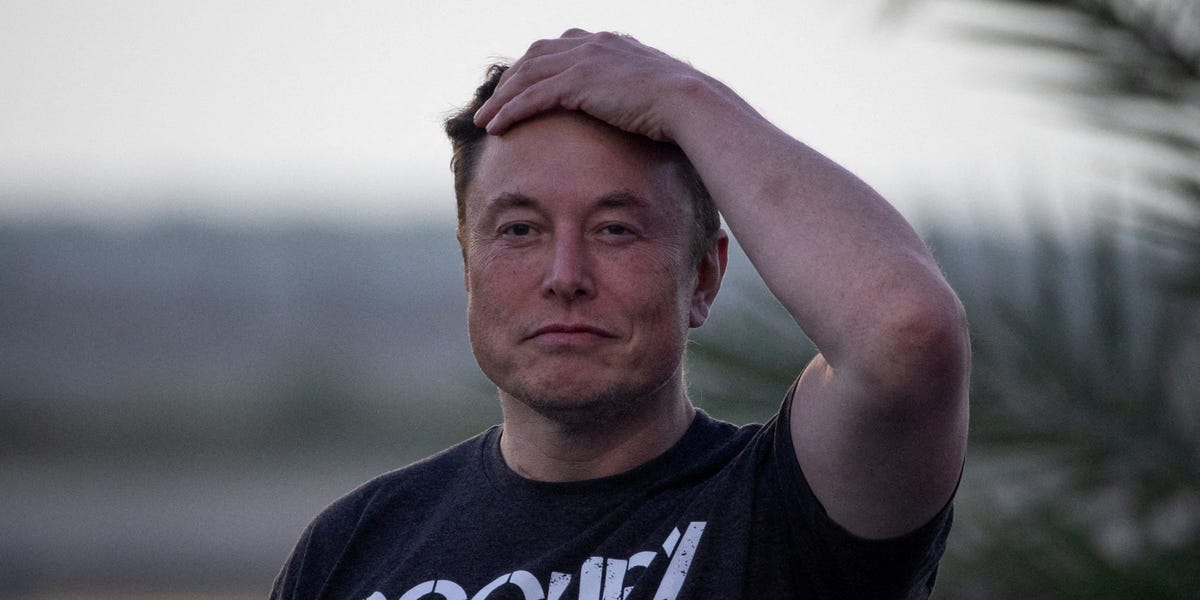 Ross Nordeen, the last remaining cofounder at xAI, left the company on Friday; Nordeen reported directly to Elon Musk as his right-hand operator